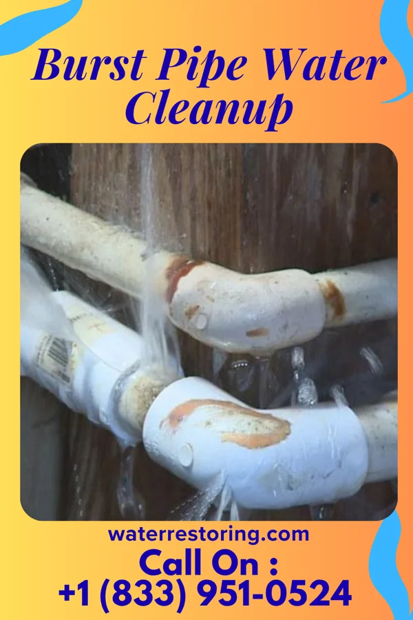 Burst Pipe Water Cleanup in Tenaha, TX