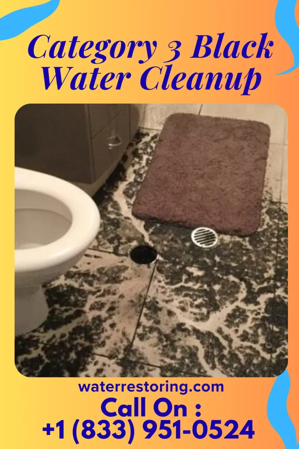 Category 3 Black Water Cleanup in Tenaha, TX