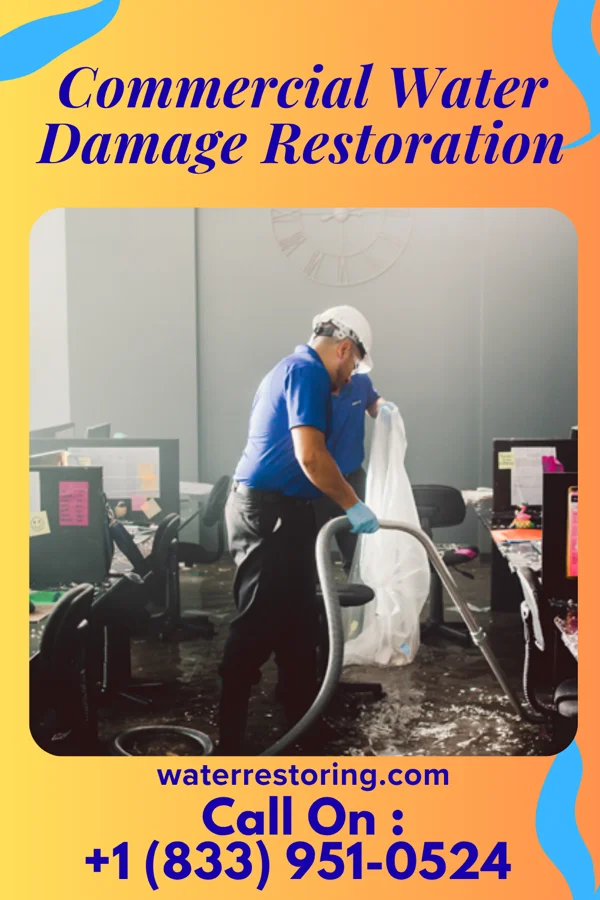 Commercial Water Damage Restoration in Tenaha, TX
