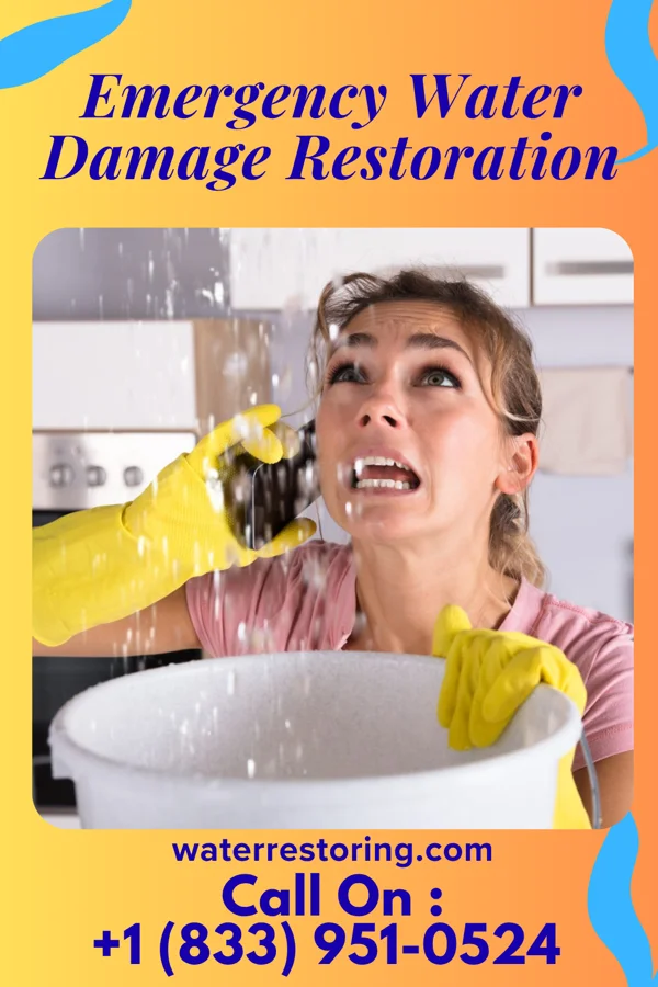 Emergency Water Damage Restoration in Tenaha, TX