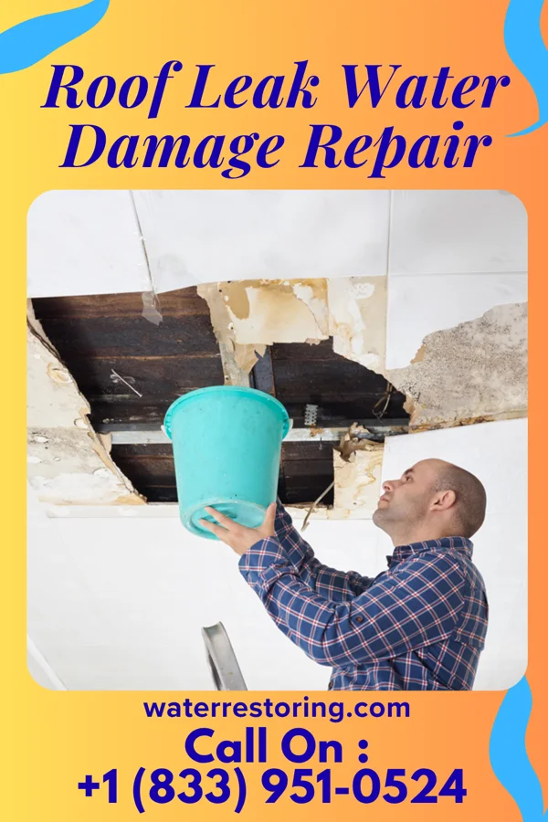 Roof Leak Water Damage Repair in Tenaha, TX